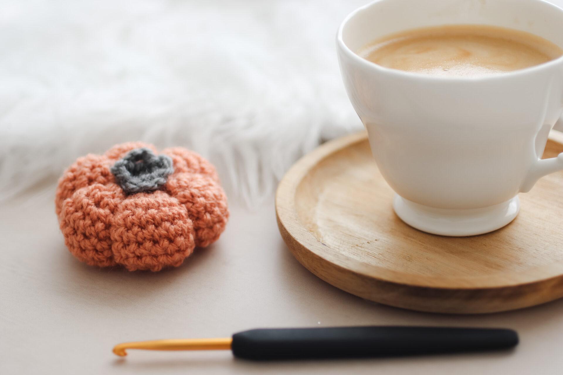 Be taught Methods to Crochet a Pumpkin